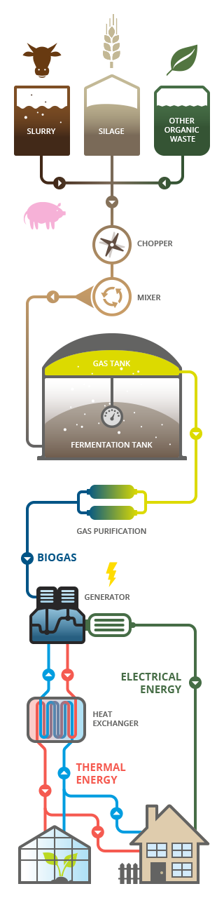 Diagramm of a Biogas-Plant