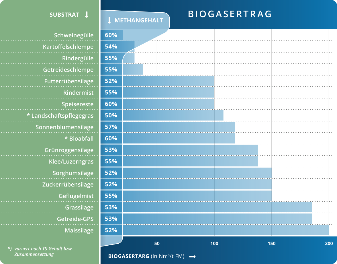 Biogasertrag